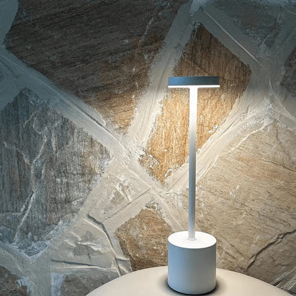 Long Neck Metal Touch Sense LED Lamp – Modern Minimalist Design, USB Rechargeable 3 Dimmable Light Modes